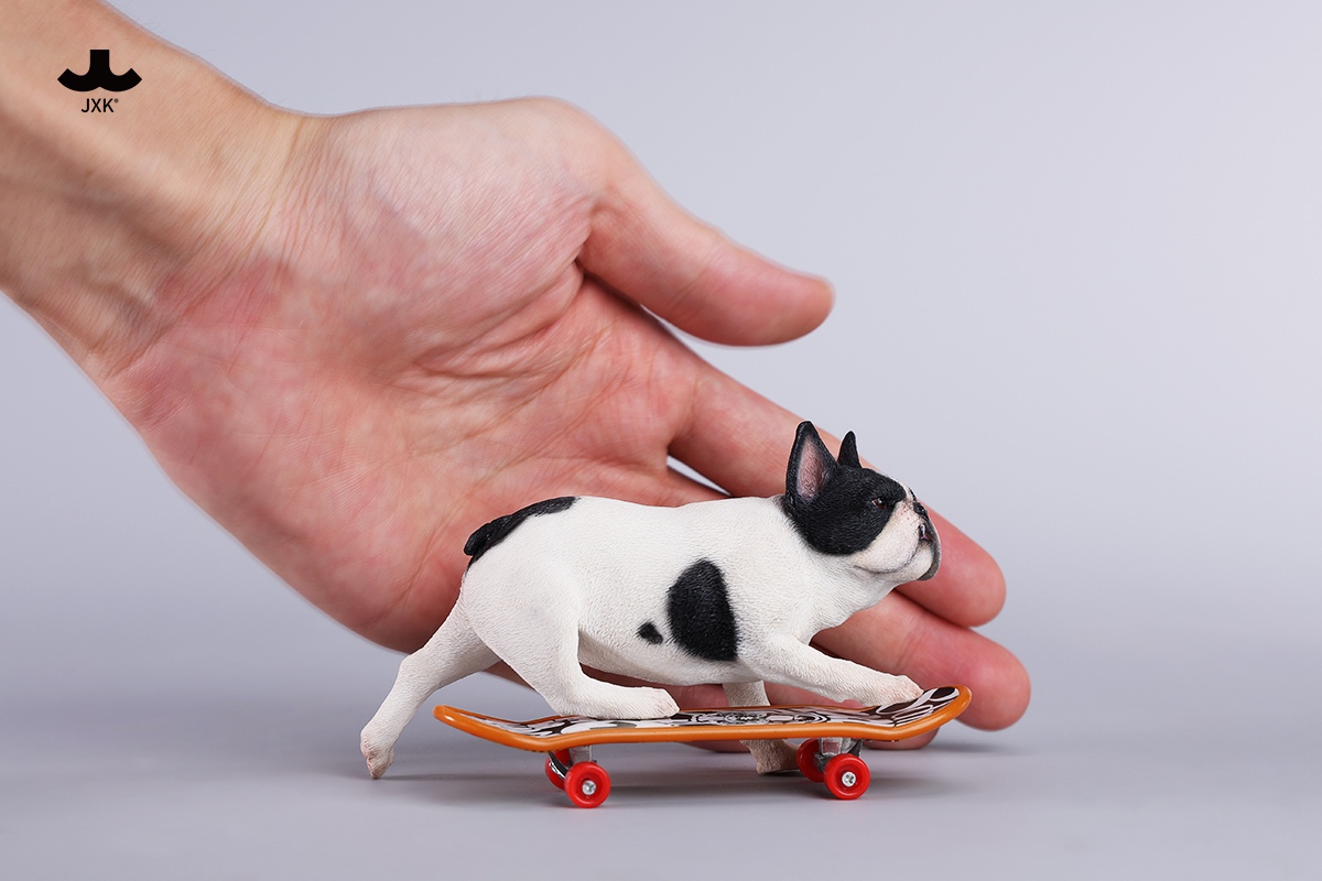 [สั่งจอง] JXK 1/6 : Skateboarding French Bulldog