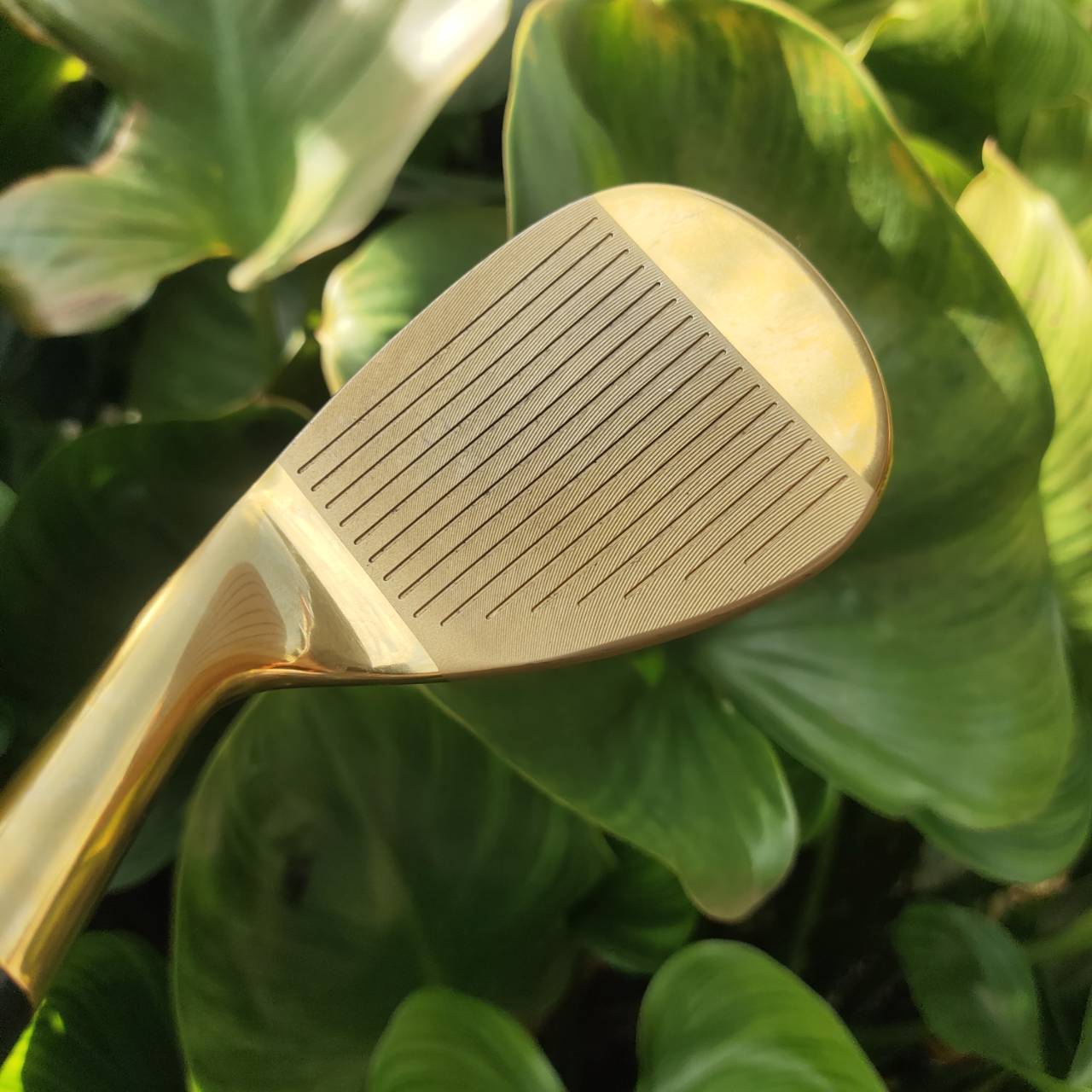 WEDGE EXCEED GOLD หน้าตะไบ องศา 56 ตกหยุดถอยๆ โหดมาก!!! วัสดุพรีเมี่ยม สีทอง สวยงามและหรูหรามาก!!!