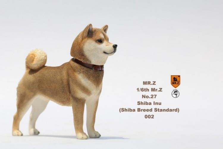 [สั่งจอง]Mr.Z MRZ027 SL001-SL005 1/6 Shiba Inu