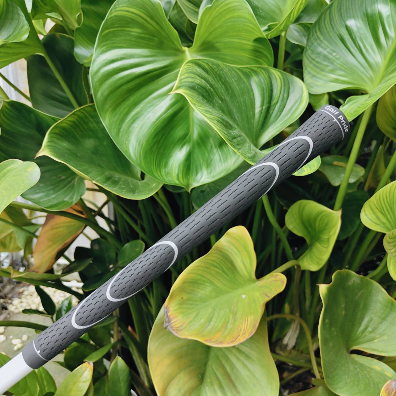 Driver Taylormade SIM GLOIRE หัวไม้รุ่นพรีเมียมจาก Taylormade ก้านโม! TOUR AD HD-5 FLEX S