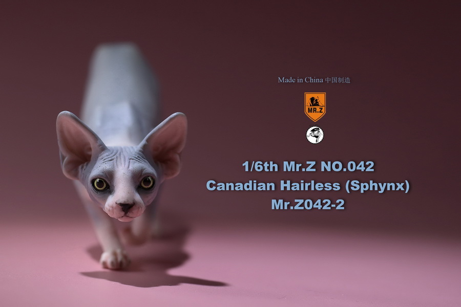 [สั่งจอง]แมวสฟิงก์ แมวน้อยขนกลับด้าน 1/6 Mr. Z Animal Model No.42: 1/6th Canadian Hairless (Sphynx)