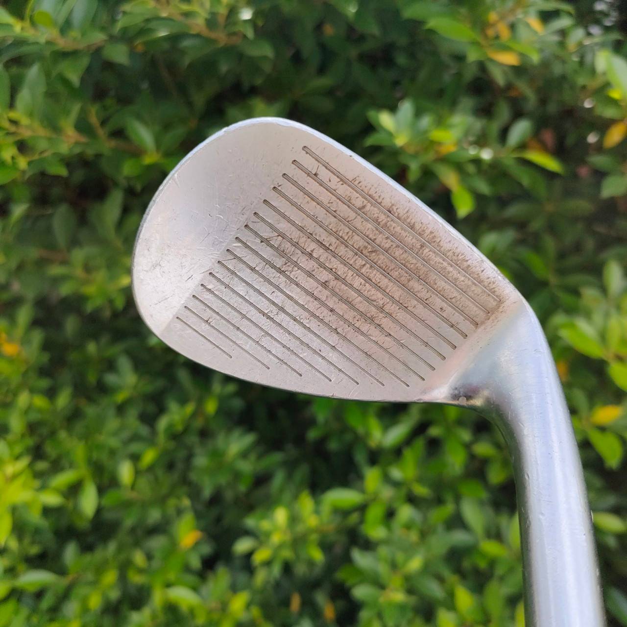 **ไม้กอล์ฟสำหรับท่านที่ถนัดซ้าย** WEDGE FOURTEEN RM-12 FORGED องศา 56 เบาท์ 12 ก้าน N.SPRO 950 GH FLEX WEDGE มือซ้ายหายาก!! ไม้กอล์ฟมือสอง ของแท้ BY NakaraLuxurious