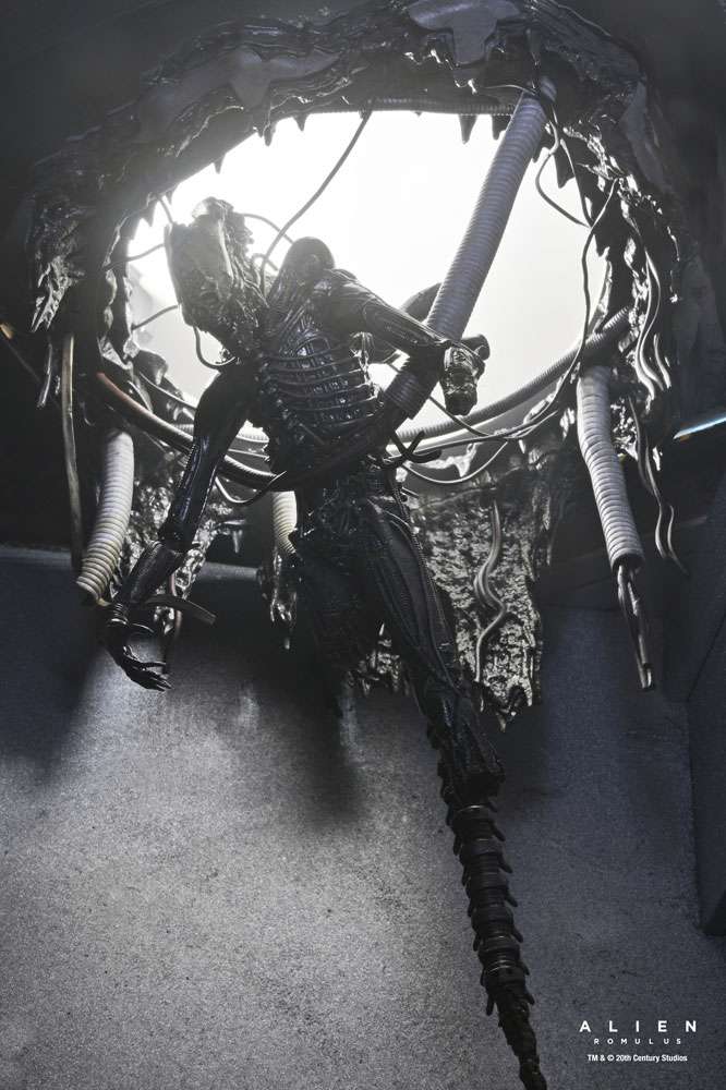 [สั่งจอง] NECA : Romulus Suspended Lab Xenomorph XX121