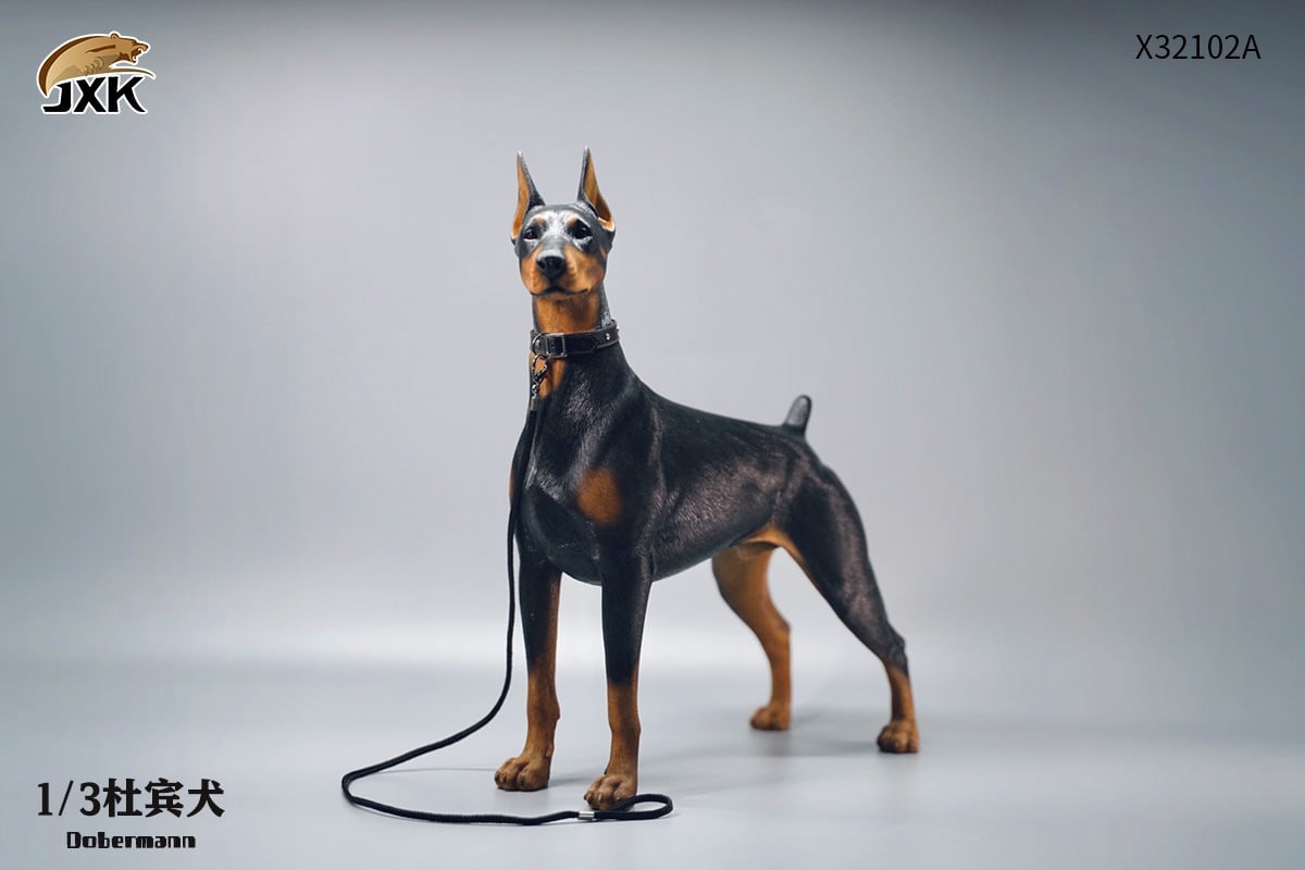 [สั่งจอง]JXK X32102 1/3 : Doberman Animal Model
