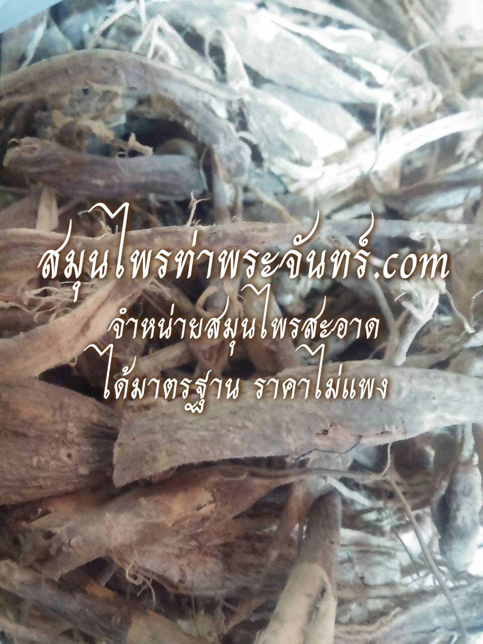Dried Stemona tuberosa Lour. / Roxburghia gloriosa Pers. / Roxburghia gloriosoides Roxb. / Roxburghia viridiflora Sm. (Root)