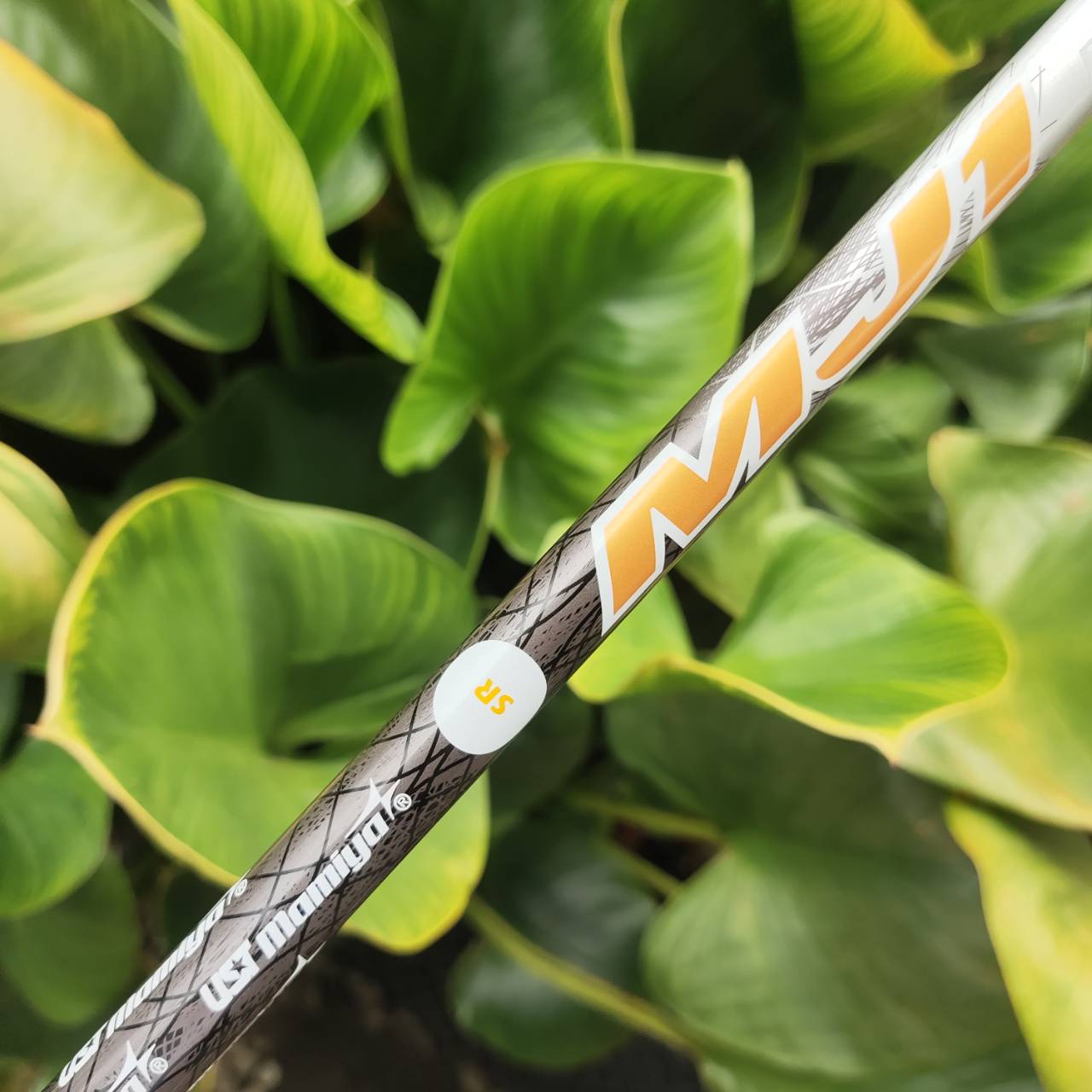 5W MIZUNO RV-03 ก้าน UST MAMIYA หน้าไม้บาง Ball Speed ดี ลูกพุ่ง สปินต่ำ