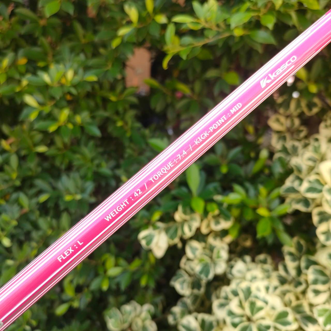 **ไม้กอล์ฟสำหรับผู้หญิง** รุ่นใหม่และยอดนิยมสูงสุด!! SET KASCO DIMPALS G7 LADY สภาพสวยนางฟ้า ชุดกอล์ฟพรีเมี่ยมญี่ปุ่น!! ไม้กอล์ฟมือสอง ของแท้ BY NakaraLuxurious