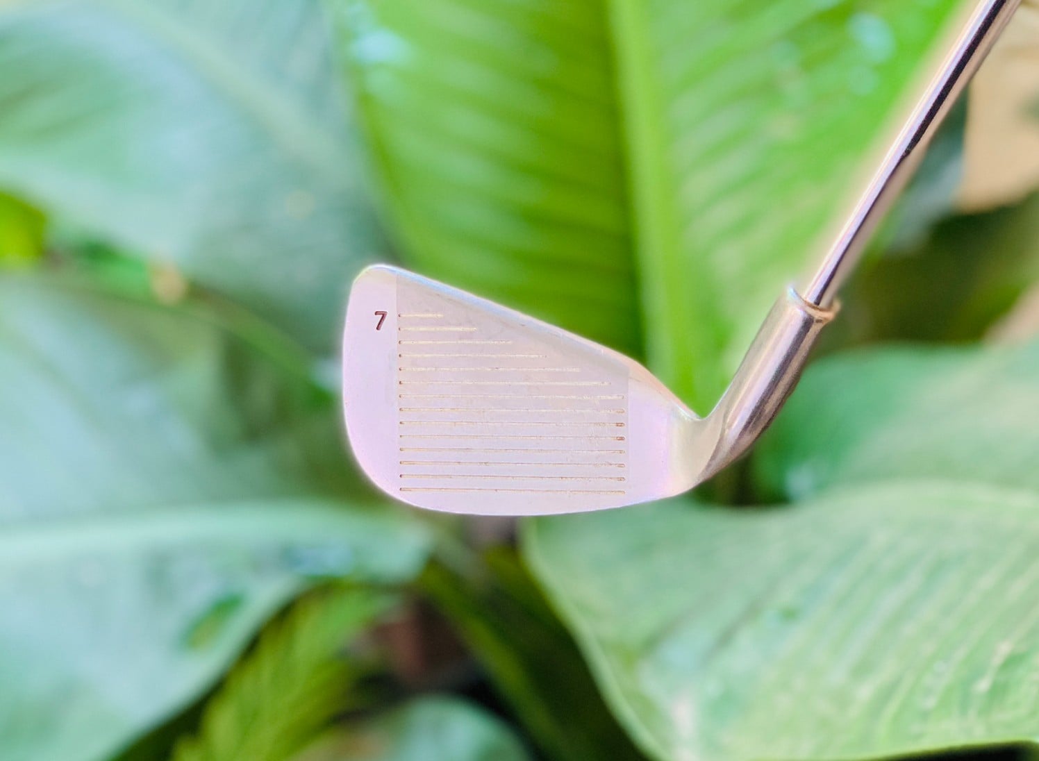 เหล็ก7 tour select II