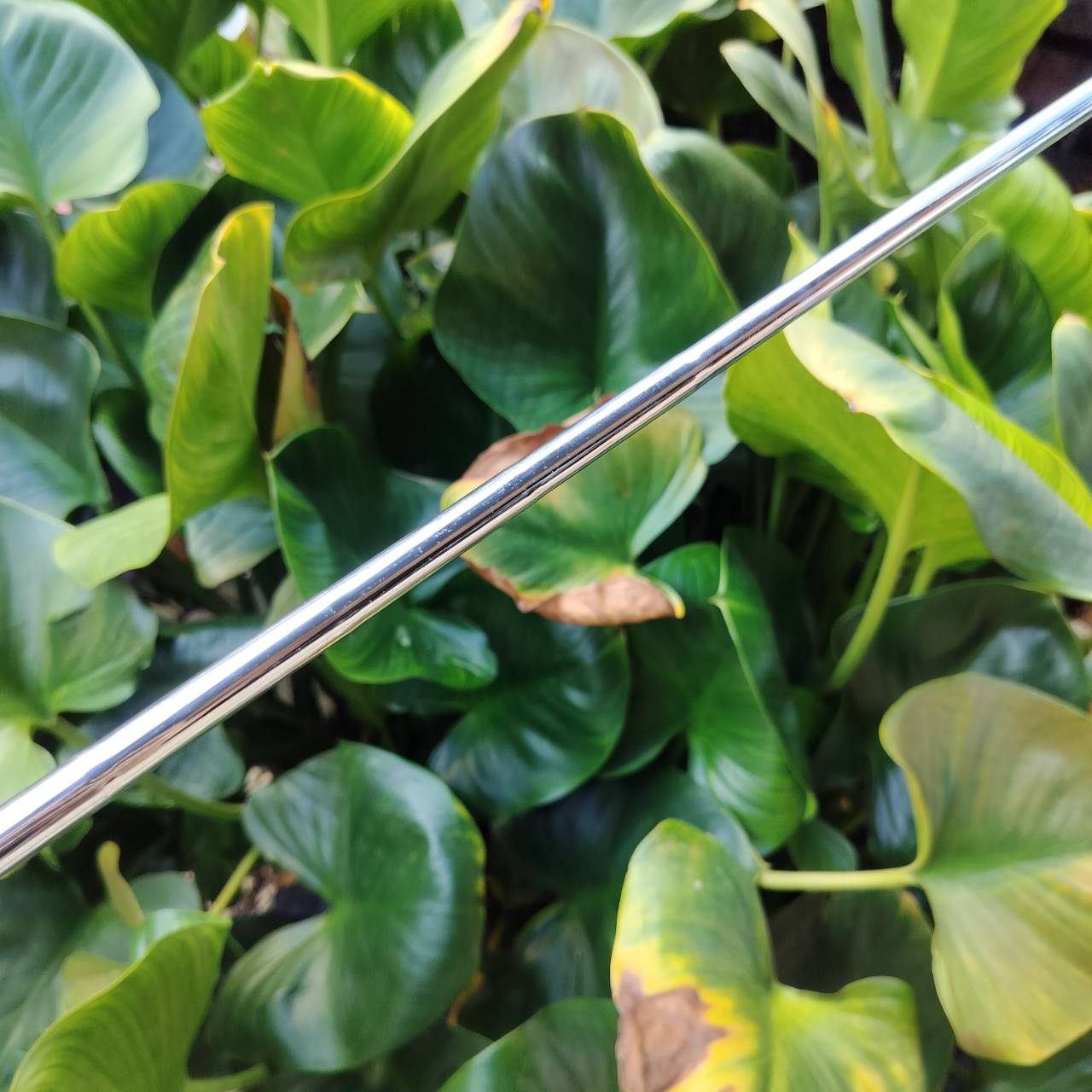 ไม้เหล็ก 9 รุ่น INESIS 100 จาก Decathlon เป็นตัวเลือกยอดนิยมสำหรับนักกอล์ฟมือใหม่ ไม้กอล์ฟพรีเมี่ยมมือสอง ของแท้ By NakaraLuxurious