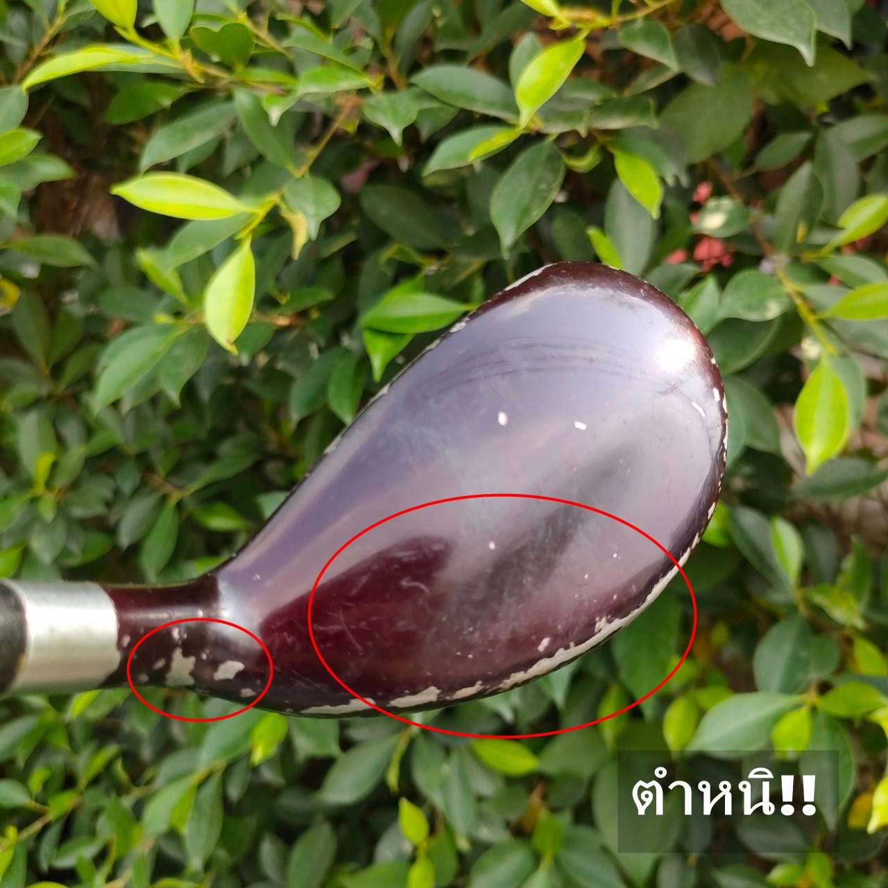 ** ไม้กอล์ฟสำหรับผู้หญิง ** HYBRID 5 GENEX 3D IRONWOOD องศา 26 ก้าน SPEEDRATED 75 FLEX L ** มีตำหนิ รอยลอก มีรูปให้ชมค่ะ ** ตีง่าย ถ่วงน้ำหนักด้านหลัง ทำให้ลูกตีลอยง่ายยิ่งขึ้น