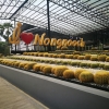 สวน นงนุช พัทยา