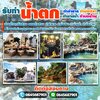 บ้านและสวน โทร 064-5687901 กำแพงน้ำ ม่านน้ำตก ม่านน้ำตกแต่งสวน ม่านน้ำตกแต่งบ้าน ม่านน้ำหินเสียบ ม่านน้ำตกหินกาบ