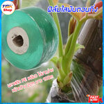 ฟิล์มใสพันตอนกิ่ง หน้ากว้าง2cm ยาว100m อุปกรณ์สำหรับทำสวน พลาสติกPE เหนียวแน่น ไม่ขาดง่าย