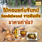 ไม้หอมแก่นจันทน์ ไม้จันทร์ (Sandalwood) จากอินเดีย ราคาเท่าไรบ้าง?
