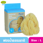 Pureen เพียวรีน ฟองน้ำแท้ธรรมชาติเพียวรีน ไซส์ L