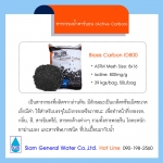 Biosis Carbon ID800 # 50 Lite / Bag