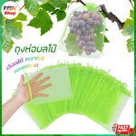 ถุงห่อผลไม้ แพ็ค10pc มีให้เลือกหลายสี หลายขนาด ป้องกันแมลงและสิ่งแปลกปลอม คุณภาพดี ราคาถูก