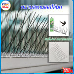 หนามสแตนเลสไล่นก หนามติดรั่ว หนามติดกำแพงไล่นก สัตว์รบกวน สัตว์ภาหะ ติดตั้งง่าย ไม่ต้องฆ่า