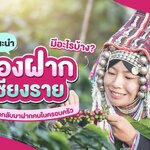 10 อันดับของฝากเชียงราย ของดีขึ้นชื่อประจำจังหวัดที่พลาดไม่ได้