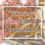 ไม้จันทน์หอม จันทร์หอม แบบแดงกับขาว ต่างกันที่อะไร แบบไหนดีที่สุด ?