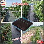 🔥Sale ลดราคา🔥 ผ้าใบคลุมดิน Set-1 หน้ากว้าง1m*ยาว2/3/5/10m ป้องกันวัชพืช คลุมดินเพาะปลูก ระบายน้ำได้ดี ทนแดด ทนฝน