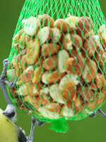 รับซื้ออาหารนก รับซื้ออาหารแมว รับซื้ออาหารปลา รับซื้ออาหารสัตว์เพดดีกรี ทั่วประเทศไทย รับถึงที่ มีสาขาทั่วประเทศ line @buyall