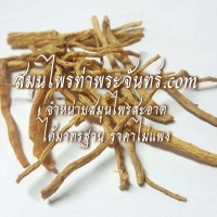 ตั่งเซียมแห้ง / ตั่งเซิน 500g
