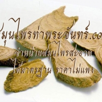 เถาเอ็นอ่อนแห้ง 500g