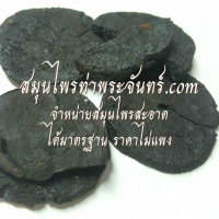 สกตี๋ / เสกตี่ / โกฐขี้แมว / เส็กตี่ / เส็กตี่ 500g