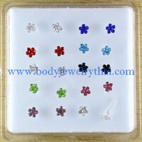 5 ดอก หลายสี