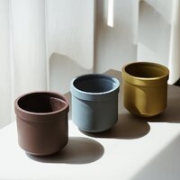 L-Carnitine Plus by New Body จำนวน 1 กล่อง 15 แคปซูล