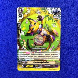 เกียร์แคทผู้ฝันเฟื่อน