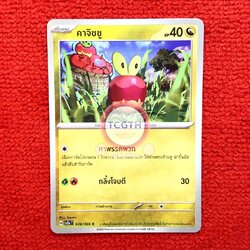 คาจิชชู