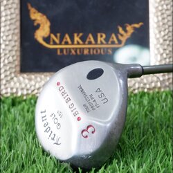 FW 3 TRIDENT BIG BIRD