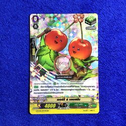 เชอร์รี่ & บลอสซัม