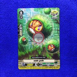 เชสนัท บูลเล็ท