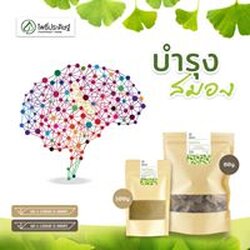 ใบแปะก๊วย (Ginkgo Leaf) - 80 กรัม เลขอ.ย 10-1-13660-5-0005
