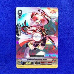 ภูติน้อยแห่งสายลม,ฮายาเตะ