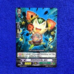 นักรบม่านกระสุน, ซุยกะ