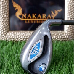 เหล็ก SW HAWK EYE VFT