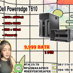 Dell Poweredge T610