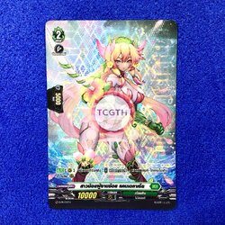 สาวน้อยผู้งามช้อย แคนเดลาเรีย