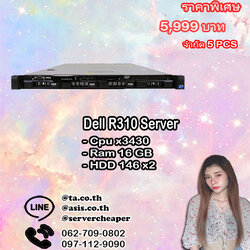 Dell R310 Server
