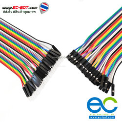 สายจั้มเปอร์ ตัวผู้+ตัวเมีย 30CM. 40เส้น