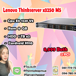 Lenovo ThinkServer X3250 M5