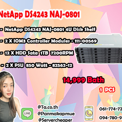 NetApp DS4243 NAJ-0801 HDD 1 TB