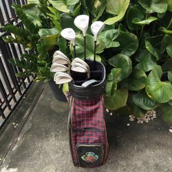 ไม้กอล์ฟครบชุดสำหรับผู้หญิง FULLSET SPALDING LADY มือสอง พร้อมสำหรับออกรอบได้เลย