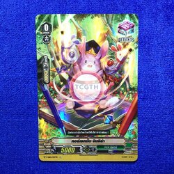 คอร์เรคชั่น•จินจิล่า