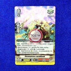 มังกรทนทายาด เทนาซิท็อปส์