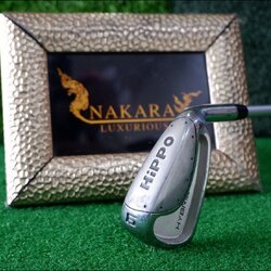 เหล็ก 6 HYBRID HIPPO